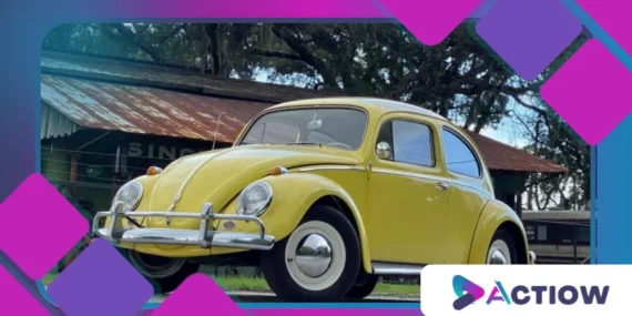 The Secret Behind the Shape of the Volkswagen Beetle