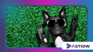 Find Your Memories Again: The Best Apps to Find Photos
